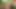 Irklararası orta yaşlı seksi kadınlar büyük götlü sahne 1_blonde, ev hanımı sert bir ırklararası sikişiyor