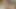 Charlie'nin melekleri küçük adamını bir kedi sızma görevine götürüyor