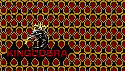 King Cobras Midas'a dokunuyor: Marilyn Midas kalın kar tavşanı götü kobra tarafından genişletiliyor