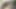 Dövmeli sarışın orta yaşlı seksi kadın amını büyük zenci yarağıyla siktiriyor