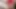 Yüz dildo - on günlük oyuncaklar ve azdırma: 6. gün