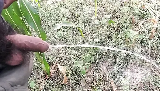 Indian Boy Pissing in Morning