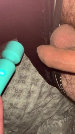 Puma erkek oyuncağıyla oynuyor