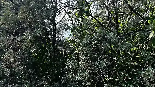 Doğada lanet olası
