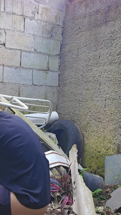 Stepsister said just look... but look what happened!" In A Vacant Lot | Clip 1