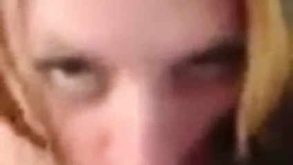 Harrogate kuş köpek