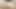Amcık seksi hatun kocasının kocasını iç çamaşırlı baştan çıkarıyor