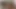 Shantalknowless 21.03.26