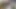 Alman izci - uzun dudaklı Alman mürekkepli orta yaşlı seksi kadın şeytan akita ilk oyuncu seçmelerinde sikişiyor