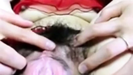 Büyük kıllı Asya kedi