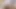 Kolej öğrenci travesti sınıfı geçmek istiyor