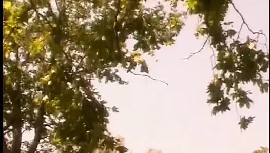 Muhteşem koyu saçlı bebek gırtlağına kadar alıyor ve bir ağacın altına yarak alıyor