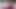 Tapon