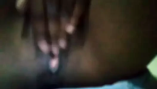 Sıska abanoz parmak pembe kedi