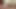 Big cock, big blowjob and big cumshot