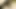 bhabhi ki Desi Hindi video