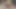 Cosplayer Misa Amane evinde sikiliyor ve ağzını dölle dolduruyor