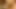 Seksi bilgisayar inek parmakları küçük yarağıyla değiştiriliyor