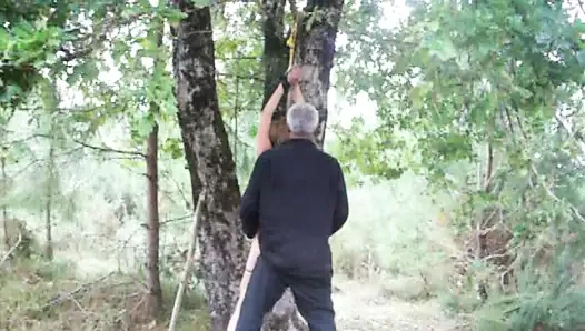 NIVEAU 4 - PUNIE DANS LES BOIS