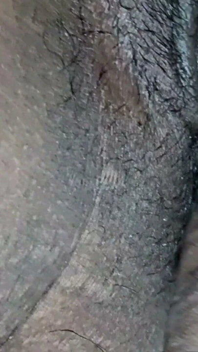 Güney Hintli Tamil karının acı anal seks | Bölüm 1