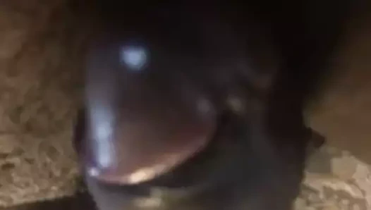 İyi bir nite 4 ben, :)