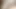 Cum içeride hile eş bbc ırklararası
