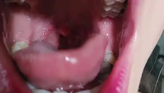 Tiny Meal