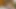 Çıplak porno kameramanı