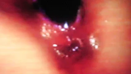 Dildo lanet kimmy'nin amını kıçının ağzı açıkken orgazm.