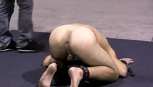 İyi döllenmiş köleler - bölüm 4