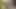 Kadın kılıklı dildoya oturuyor ve sonra eğiliyor