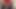 AndoliniXXL.com - First share