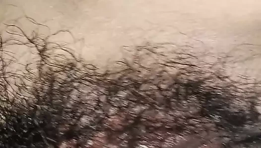 Benim küçük pinay kedi