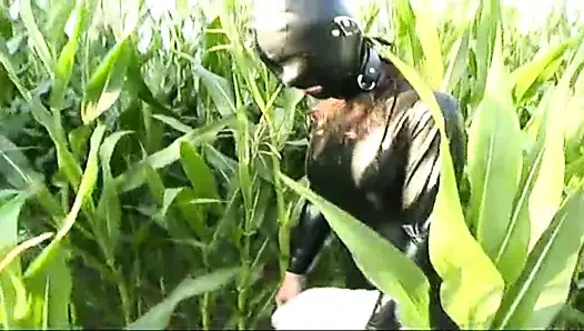 Lanet çılgın beyinler!!! - cilt #09