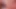 Hot Blowjob Ends in a Horny Sex Experience With the Neighbor Boy