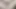 Orta yaşlı seksi kadın her yere fışkırtıyor - oyuncak mastürbasyon eğlencesi