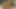 Travesti Ellen Silva ateşli öpüşüp emdikten sonra sikiliyor