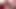 Tiara Ayase'in patlayıcı Asyalı seks seansı - seksi külotlu çorap, oral seks ve dölleme eylemi
