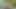 Yeni iç cumshot.