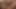 Seksi minyon olgun sarışın kadın ağzında ırklararası yarağı seviyor