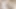 Büyük memeler losyon üzerinde web kamerası