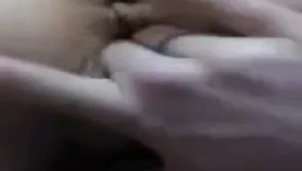 Karavan parkı toni 4