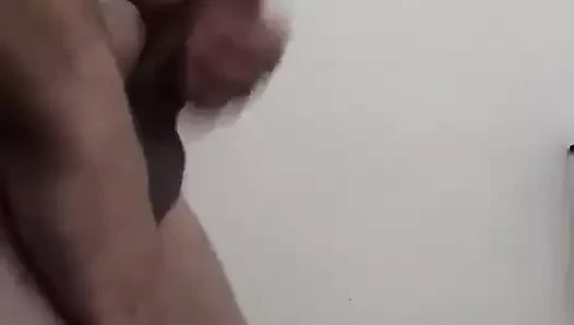 coroa