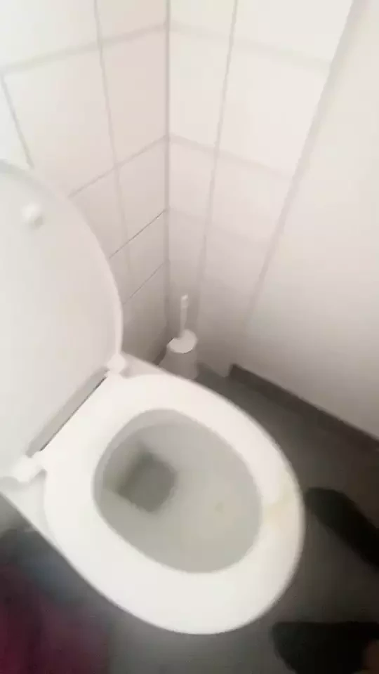 Spermalecken von der Klobrille