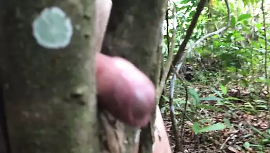 Koşu parkuru yakınında riskli açık ağaç fuck.