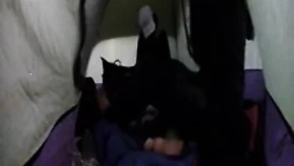 Eve dönüş kraliçesi karışımı modelleme