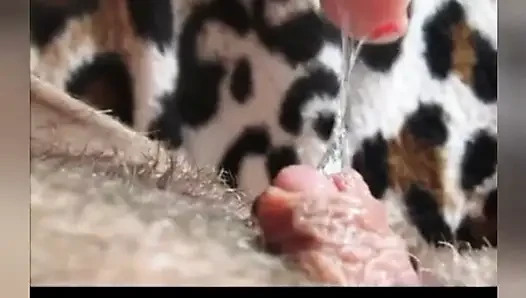HUUUUUUGE BABA IÇIN ıSLAK KLITORIS DERLEMESI