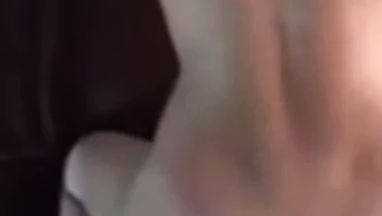 Sodomie