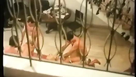 Sodomy'de masaj (1979)