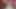 Ateşli Asyalı orta yaşlı seksi kadın göğüslerini göstermeyi seviyor